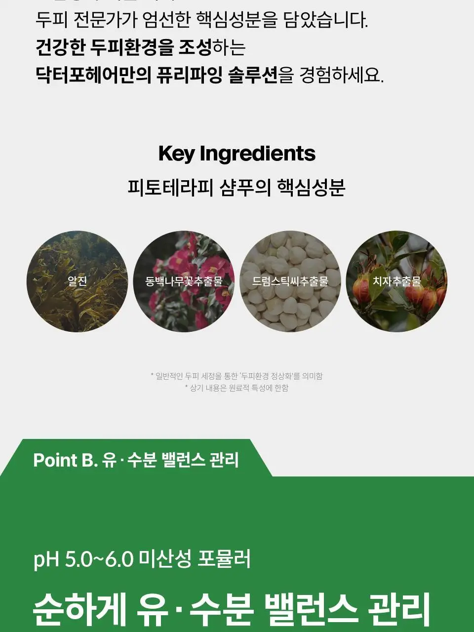 [두피케어] 닥터포헤어 피토테라피 샴푸 500ml 상세페이지 9